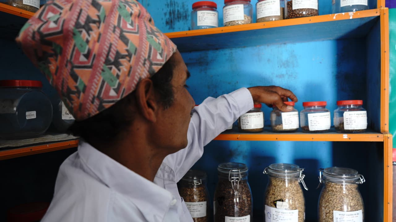 IRD Seed Bank